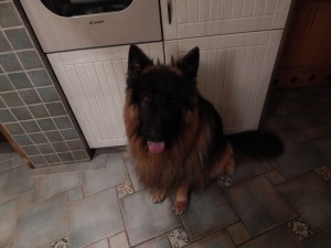 DSCN0002